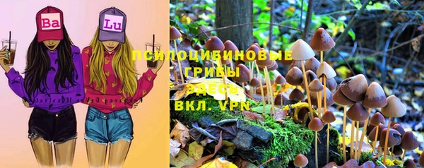 скорость Зеленодольск